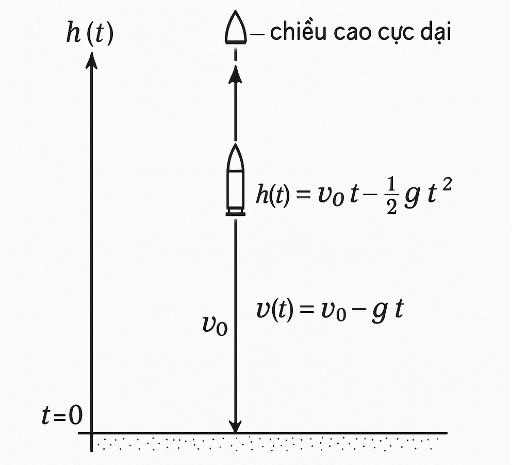 Hình minh họa câu hỏi